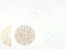10-rosette-evolution