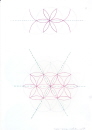12-rosace-reseau-evolution