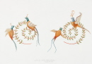 16-motif-oiseau-paon