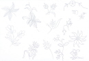 35-fleur-stylise-alpine