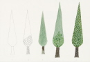 40-motif-arbre-pin-mediterraneen