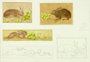 44-lievre-mange-raisin