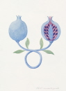 44-motif-grenade-entrelacee