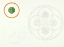 8-rosette-reseau-evolution