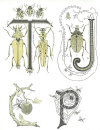des-insectes-partout-128-12