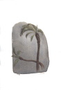 foret-tropicale