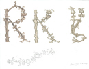 fleurs-et-fruits-en-branche