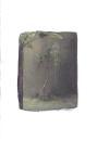 foret-tropicale